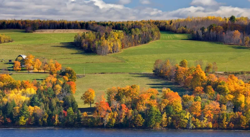 Fall colours over the Saint John River valley near Lincoln