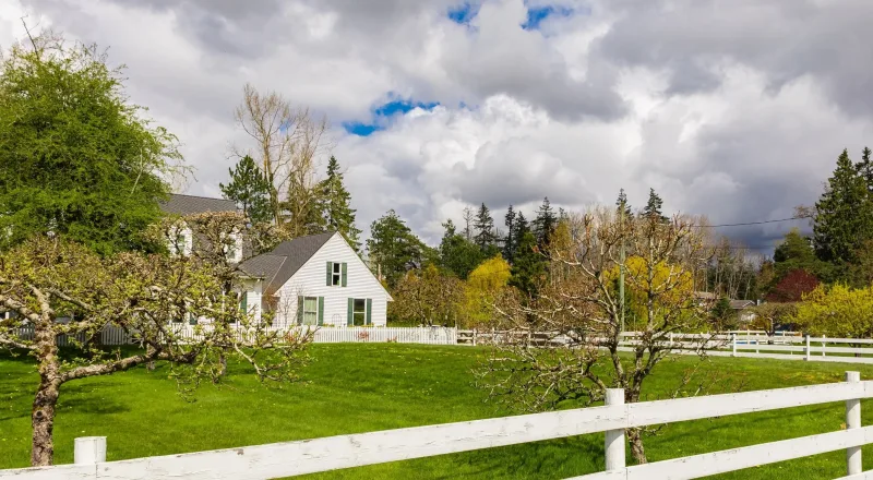 White farmhouse with split-rail fence and orchard trees along Richibucto Road, New Brunswick