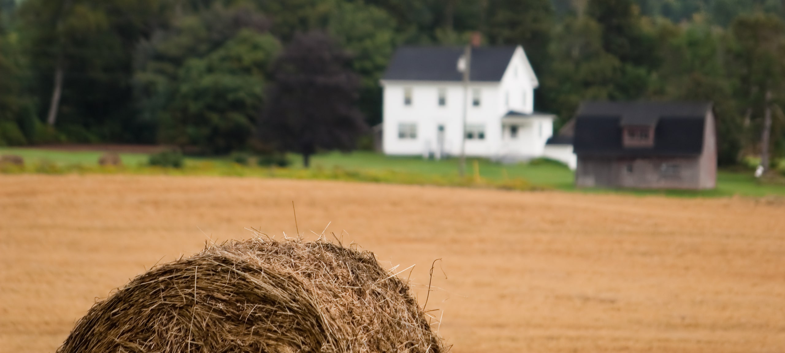 Hay bale in an open field with a white farmhouse in the background, Nasonworth, New Brunswick