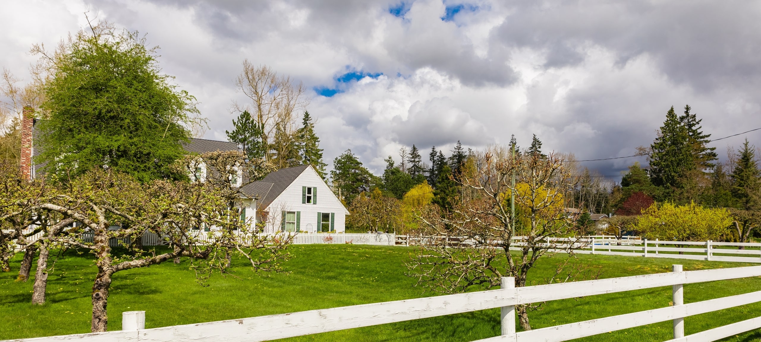 White farmhouse with split-rail fence and orchard trees along Richibucto Road, New Brunswick